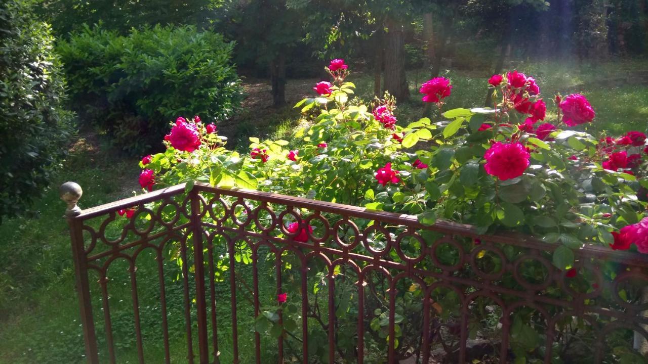 Domaine Du Parais B&B Sospel Bagian luar foto