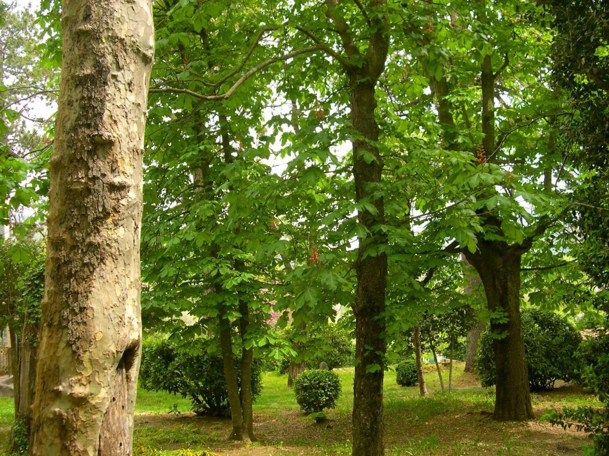Domaine Du Parais B&B Sospel Bagian luar foto